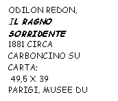 Text Box: ODILON REDON, 
IL RAGNO SORRIDENTE
1881 CIRCA
CARBONCINO SU CARTA;
 49,5 X 39 
PARIGI, MUSEE DU LOUVRE
